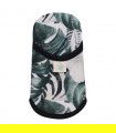 Primer plano Zebra