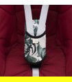 Detalle frontal Zebra